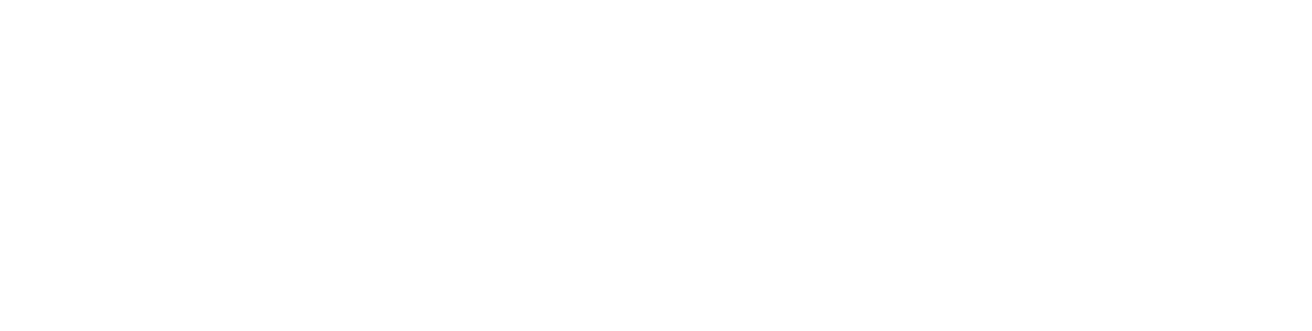 Universidad del Desarrollo